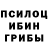 Галлюциногенные грибы прущие грибы GUSYA FORTOCHKIN