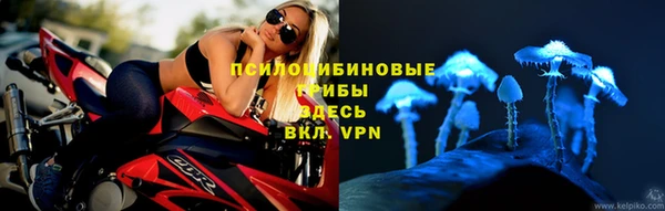 прущая мука Богородск