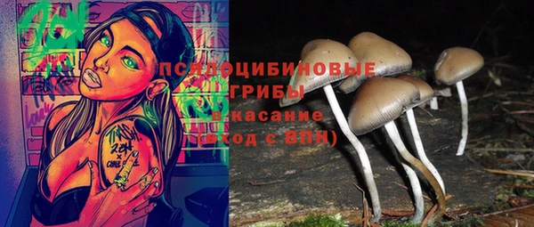 прущая мука Богданович