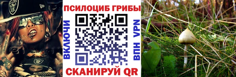 Галлюциногенные грибы GOLDEN TEACHER  Купить закладки  Буинск 